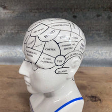Load image into Gallery viewer, Ceramic Humorous Phrenology Head - Small - Phoenix Menswear