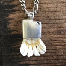 Load image into Gallery viewer, Silver Hunting Charivari Charm Marten Teeth and Silver Necklace 1930's - OOAK - Phoenix Menswear