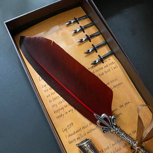 Boxed Calligraphy Set Feathered Pen with Nibs, Stand and Bottle. - Phoenix Menswear