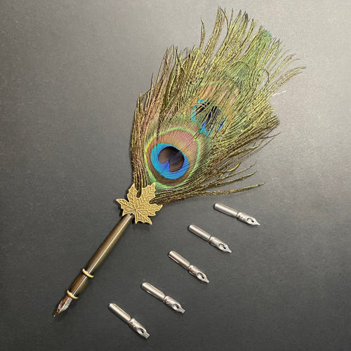 Peacock Feather Quill Calligraphy Dip Pen and Nib Set - Phoenix Menswear