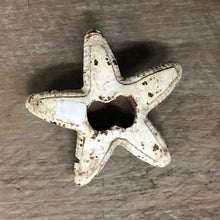 Load image into Gallery viewer, Bottle Opener - Starfish - Cast Iron - Phoenix Menswear