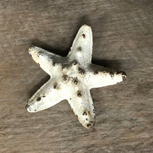 Load image into Gallery viewer, Bottle Opener - Starfish - Cast Iron - Phoenix Menswear
