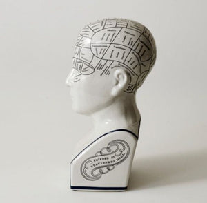 Ceramic Humorous Phrenology Head - Large - Phoenix Menswear