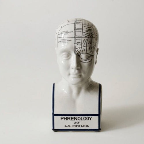 Ceramic Humorous Phrenology Head - Large - Phoenix Menswear