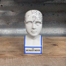 Load image into Gallery viewer, Ceramic Humorous Phrenology Head - Small - Phoenix Menswear