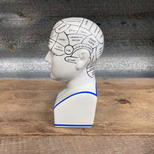 Load image into Gallery viewer, Ceramic Humorous Phrenology Head - Small - Phoenix Menswear