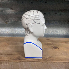 Load image into Gallery viewer, Ceramic Humorous Phrenology Head - Small - Phoenix Menswear