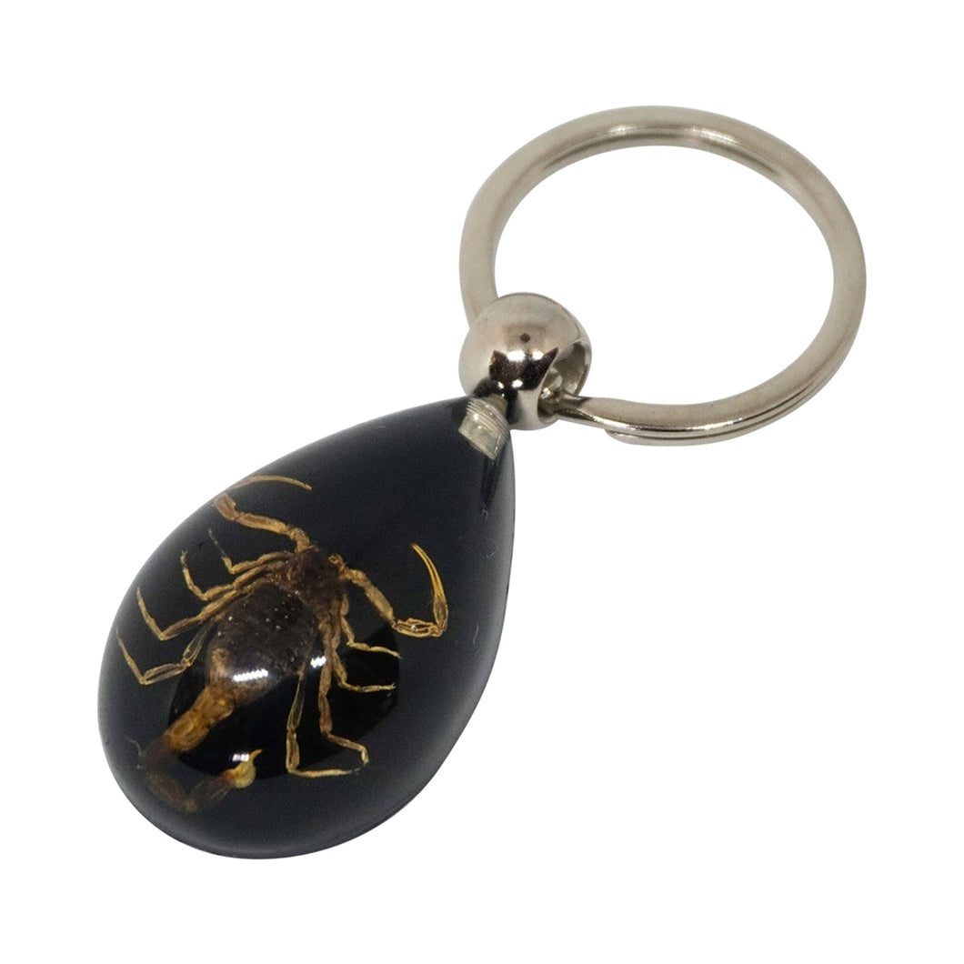 Scorpion Keyring - Black - Phoenix Menswear