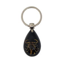 Load image into Gallery viewer, Scorpion Keyring - Black - Phoenix Menswear