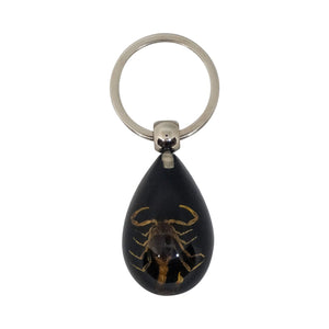 Scorpion Keyring - Black - Phoenix Menswear