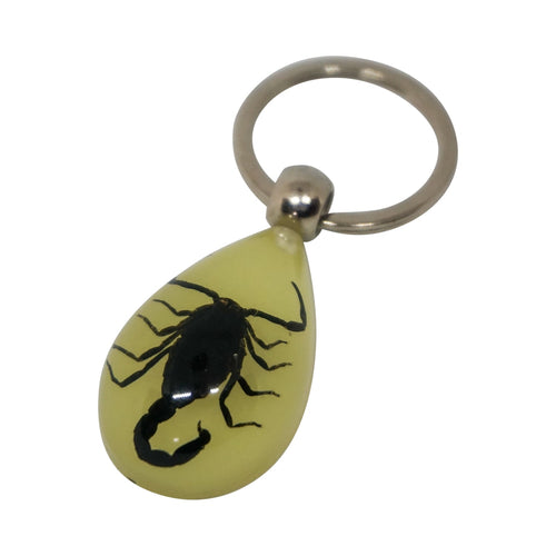 Scorpion Keyring - Creme - Phoenix Menswear