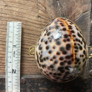 Vintage Shell Pill Box Engagement Ring Gift Box - Phoenix Menswear